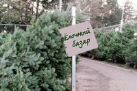 В Горках ёлочные базары начнут работать в преддверии католического Рождества